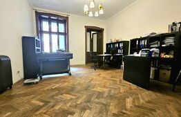 Apartament 160 mp, pretabil birouri sau alte activitati, zona Traian