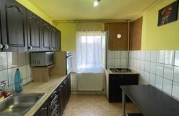 Apartament 2 camere, 43 mp, zona Lipovei 