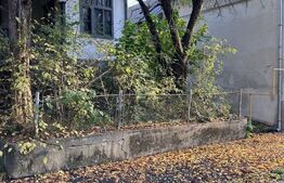 Teren Buziaș, lângă parc