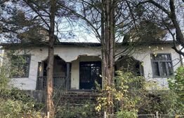 Teren Buziaș, lângă parc