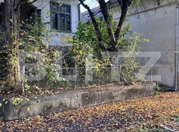 Casa de vânzare 2 camere Buziaş - 192140CV | BLITZ Timișoara | Poza2