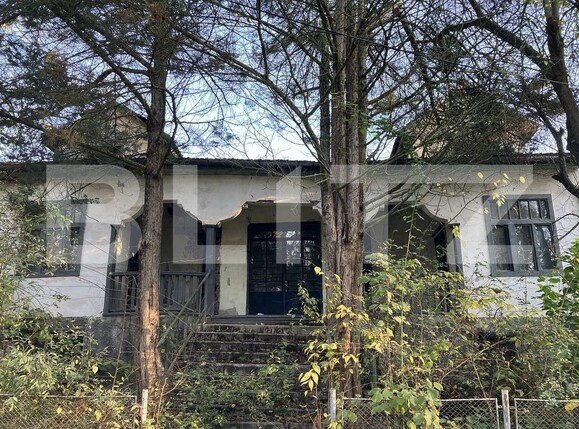 Casa de vânzare 2 camere Buziaş - 192140CV | BLITZ Timișoara | Poza5