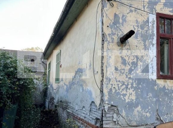 Casa de vânzare 2 camere Buziaş - 192140CV | BLITZ Timișoara | Poza6