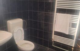 Vand casa Comuna Nitchidorf Judetul Timis