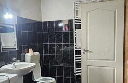 Vand casa Comuna Nitchidorf Judetul Timis