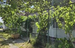Vand casa Comuna Nitchidorf Judetul Timis