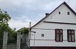 Vand casa Comuna Nitchidorf Judetul Timis