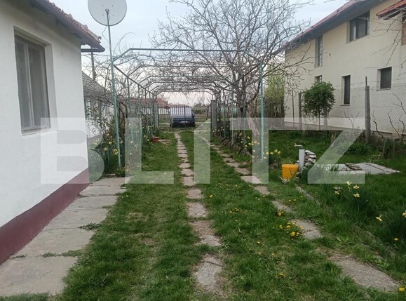 Casa de vânzare 3 camere Nitchidorf - 192141CV | BLITZ Timișoara | Poza6