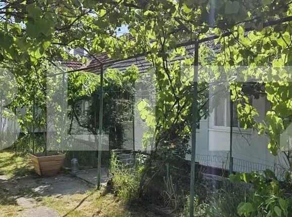 Casa de vânzare 3 camere Nitchidorf - 192141CV | BLITZ Timișoara | Poza7