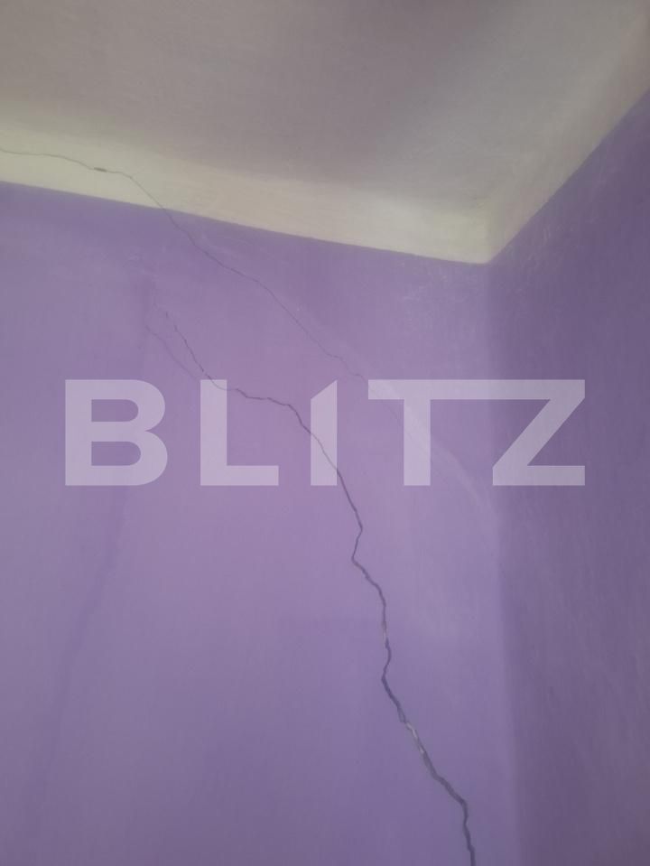 Casa de vânzare 3 camere Nitchidorf - 192141CV | BLITZ Timișoara | Poza17