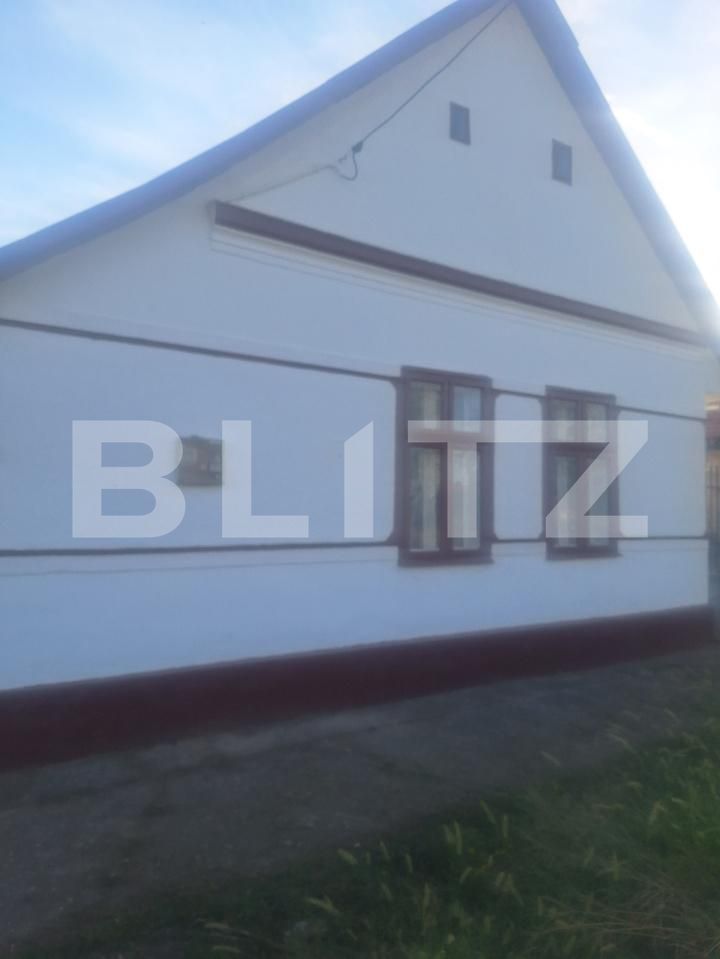 Casa de vânzare 3 camere Nitchidorf - 192141CV | BLITZ Timișoara | Poza15