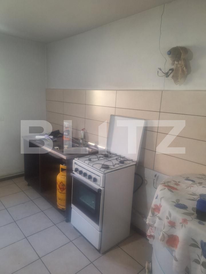 Casa de vânzare 3 camere Nitchidorf - 192141CV | BLITZ Timișoara | Poza19