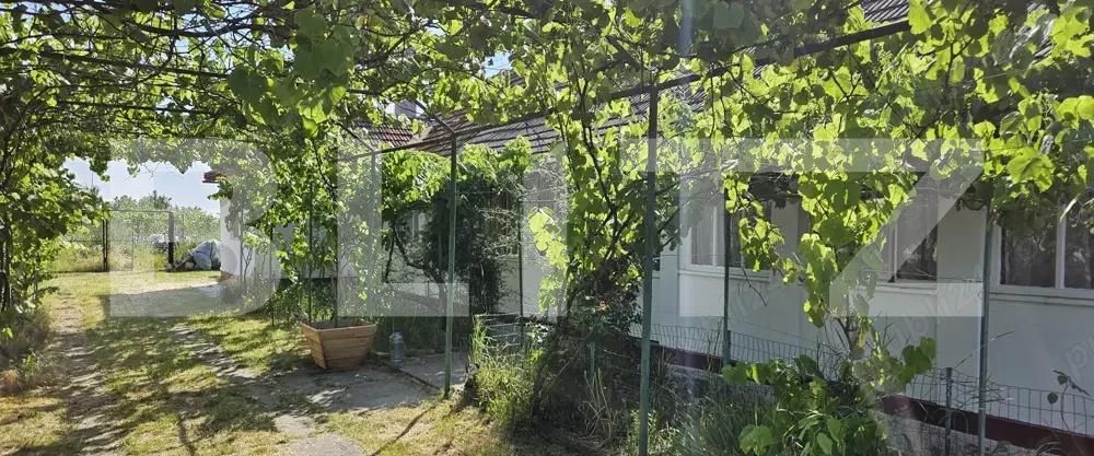 Casa de vânzare 3 camere Nitchidorf - 192141CV | BLITZ Timișoara | Poza7