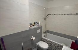Apartament 3 camere Dumbravita, zona Fropin