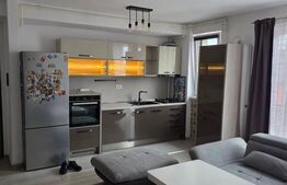 Apartament 2 camere Braytim