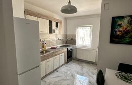 Apartament 2 camere, renovat complet, 56 mp – zona Șagului