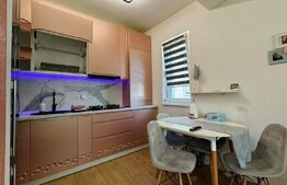 Apartament 2 camere,50 mp, zona Dumbravita