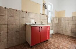 Cladire istorica, 175mp-5 camere, etaj 1, terasa si balcon, zona Iosefin-Sinaia