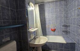 Apartament cu 3 camere, 72 mp - Freidorf