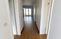 Casa tip duplex Mosnita Noua 3 camere