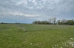 Teren Intravilan Giroc 695mp (3 min de centura)