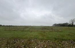 Teren de vânzare Mosnita Noua - 108934TV | BLITZ Timișoara | Poza1