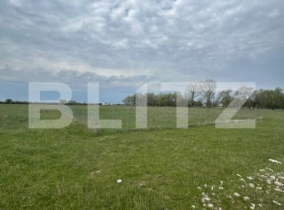 Teren de vânzare Giroc - 192693TV | BLITZ Timișoara | Poza3