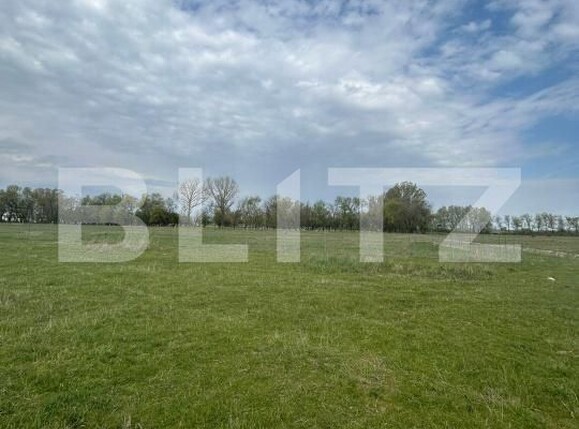 Teren de vânzare Giroc - 192693TV | BLITZ Timișoara | Poza4