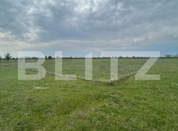 Teren de vânzare Giroc - 192693TV | BLITZ Timișoara | Poza2