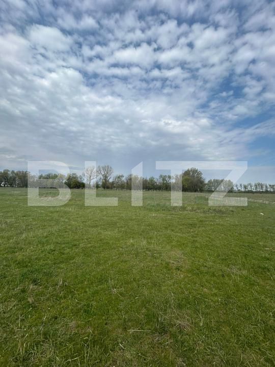 Teren de vânzare Giroc - 192693TV | BLITZ Timișoara | Poza4