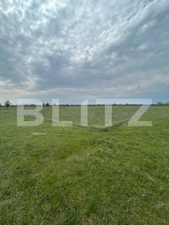 Teren de vânzare Giroc - 192693TV | BLITZ Timișoara | Poza2