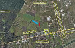 Oportunitate Investiție: Teren 4.037 mp, Ghiroda – Potențial Rezidențial Major