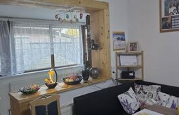 Casa 3 camere 97mp utili  375mp teren Timisoara Braytim