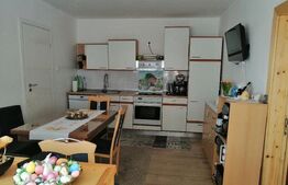 Casa 3 camere 97mp utili  375mp teren Timisoara Braytim