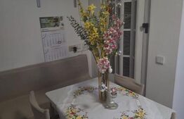 Casa 3 camere 97mp utili  375mp teren Timisoara Braytim