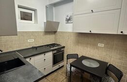 Apartament 2 camere, cu terasă, 52 mp – zona Lipovei / Dumbrăvița