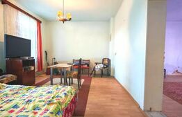 Casa individuala, 3 camere, 98 mp, 827 mp teren, zona Central-Modern