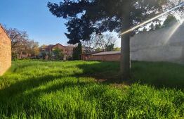 Casa individuala, 3 camere, 98 mp, 827 mp teren, zona Central-Modern