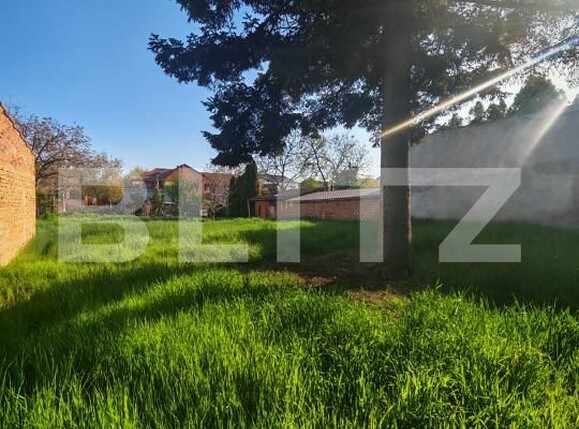 Casa de vânzare 3 camere Semicentral - 192901CV | BLITZ Timișoara | Poza8