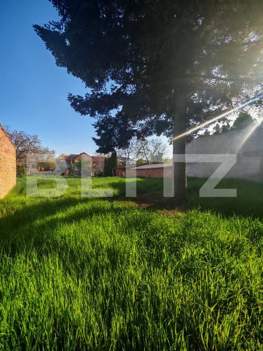 Casa de vânzare 3 camere Semicentral - 192901CV | BLITZ Timișoara | Poza8