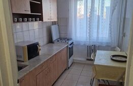 Apartament 2 camere, 58 mp, zona Gara de Nord