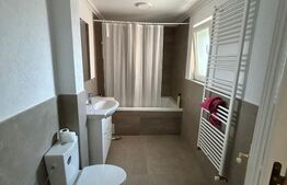 Casa individuala 220+ mp utili, teren 1000mp, 8 camere, Mosnita Veche