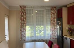 Casa individuala 220+ mp utili, teren 1000mp, 8 camere, Mosnita Veche