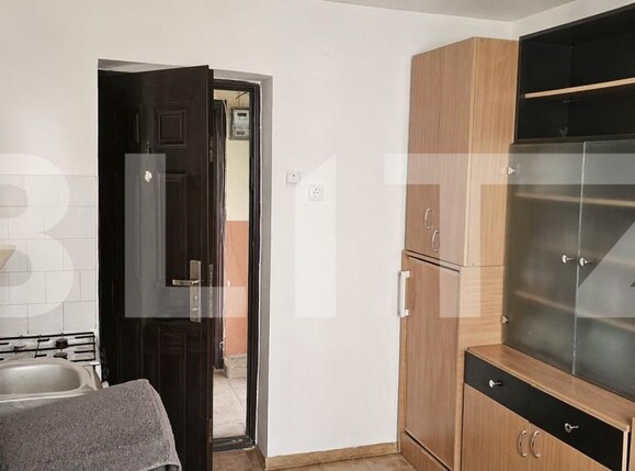 Garsonieră de vânzare Take Ionescu - 193085AV | BLITZ Timișoara | Poza2
