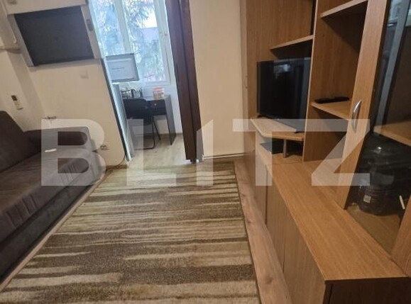 Garsonieră de vânzare Bucovina - 193291AV | BLITZ Timișoara | Poza5