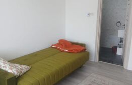 Duplex modern cu 3 camere, curte amenajată și foișor – Parța