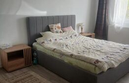 Duplex modern cu 3 camere, curte amenajată și foișor – Parța