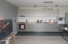 Duplex modern cu 3 camere, curte amenajată și foișor – Parța