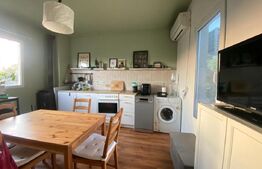 Casa individuala 4 camere 140mp utili 2040mp teren Dragsina