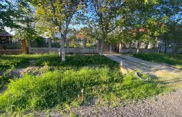 Casa individuala 4 camere 140mp utili 2040mp teren Dragsina